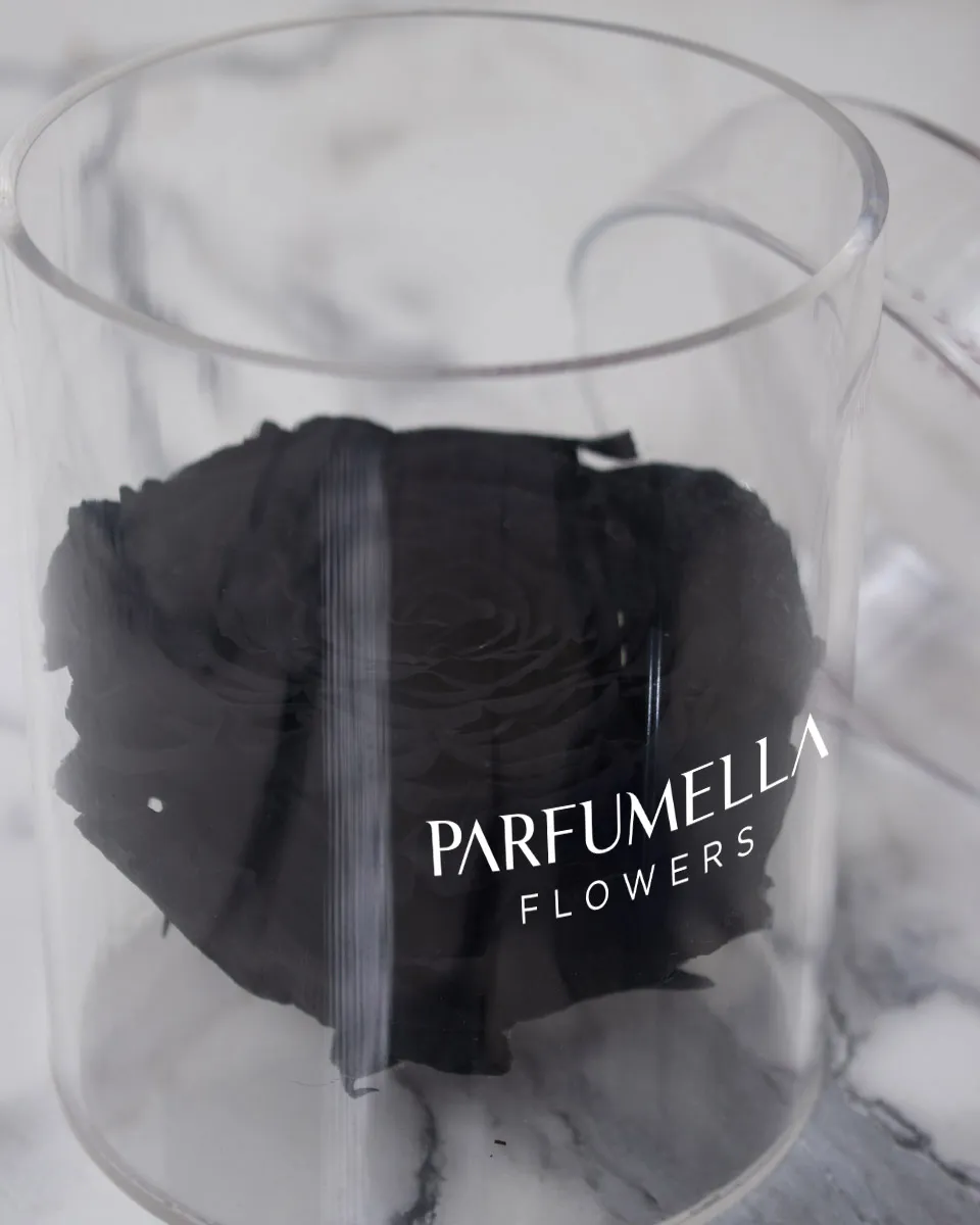 Black Rose Detailed 2