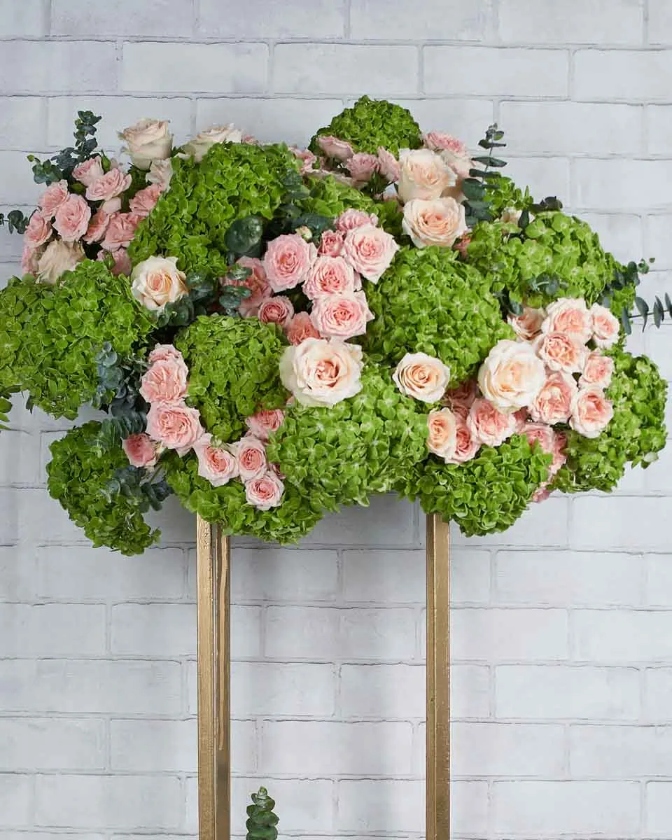 Cotton Candy Details