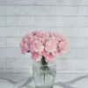 Dainty Carnation light pink 20 stems