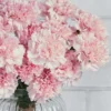 Dainty Carnation light pink Details