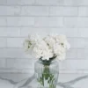 Dainty Carnation white 20 stems
