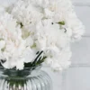 Dainty Carnation white Details
