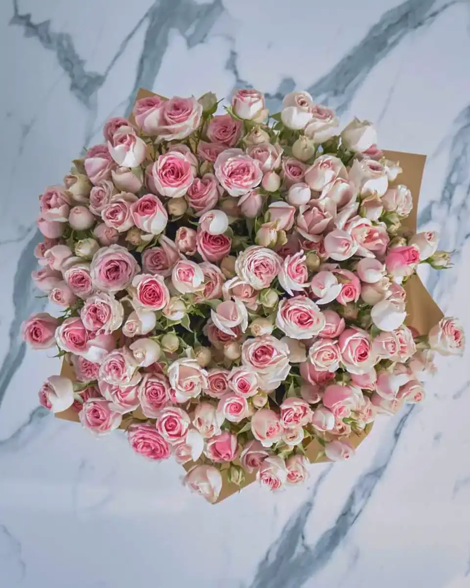 Dinara Pink  48 Top View2