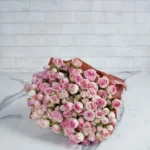 Dinara 24 tems  PINK