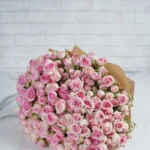 Dinara 48 tems  BORWN