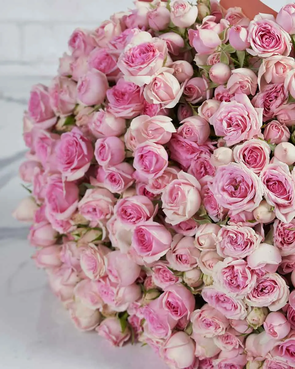 Dinara 48 tems  BORWN  PINK Details