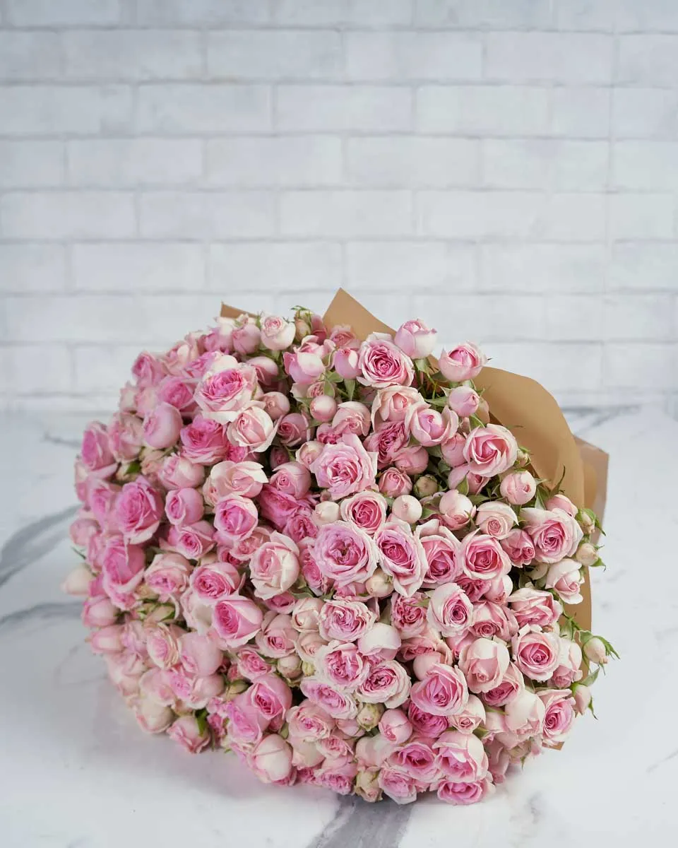 Dinara 48 tems  BORWN