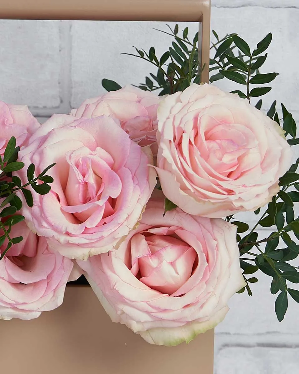 Esperances Beauty   Toolbox Solid Rose Esperance with touch of pistacia 20 stems  .5 pistacia Details