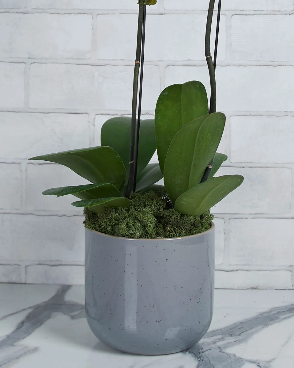 Glow Girl White  Details 2