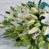 Graceful Lily Lily White 24 stems  BLUE Details