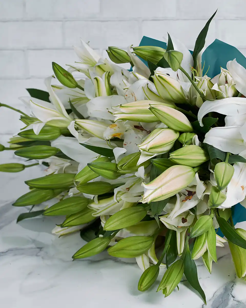 Graceful Lily Lily White 24 stems  BLUE Details