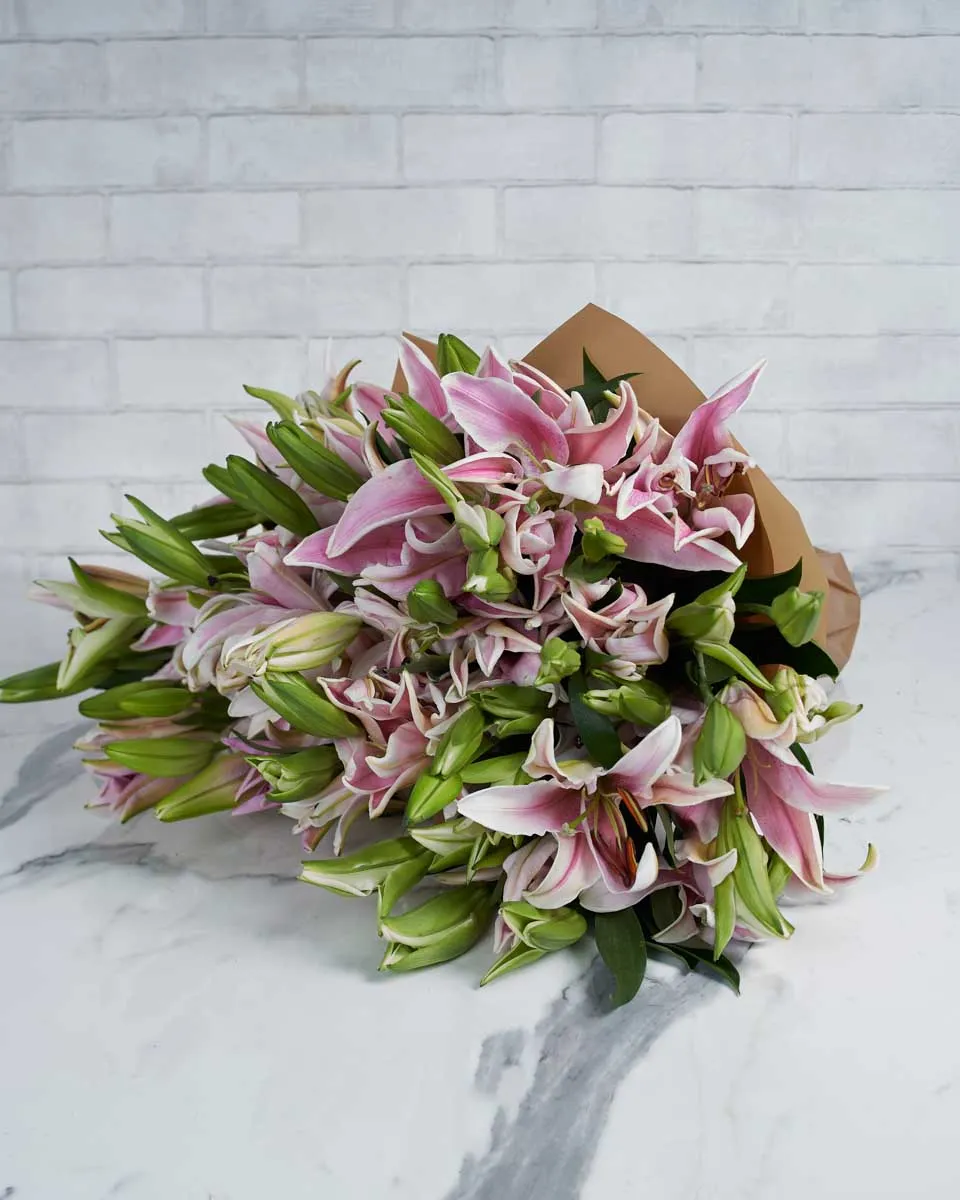 Graceful Lily Lily pink 24  BROWN