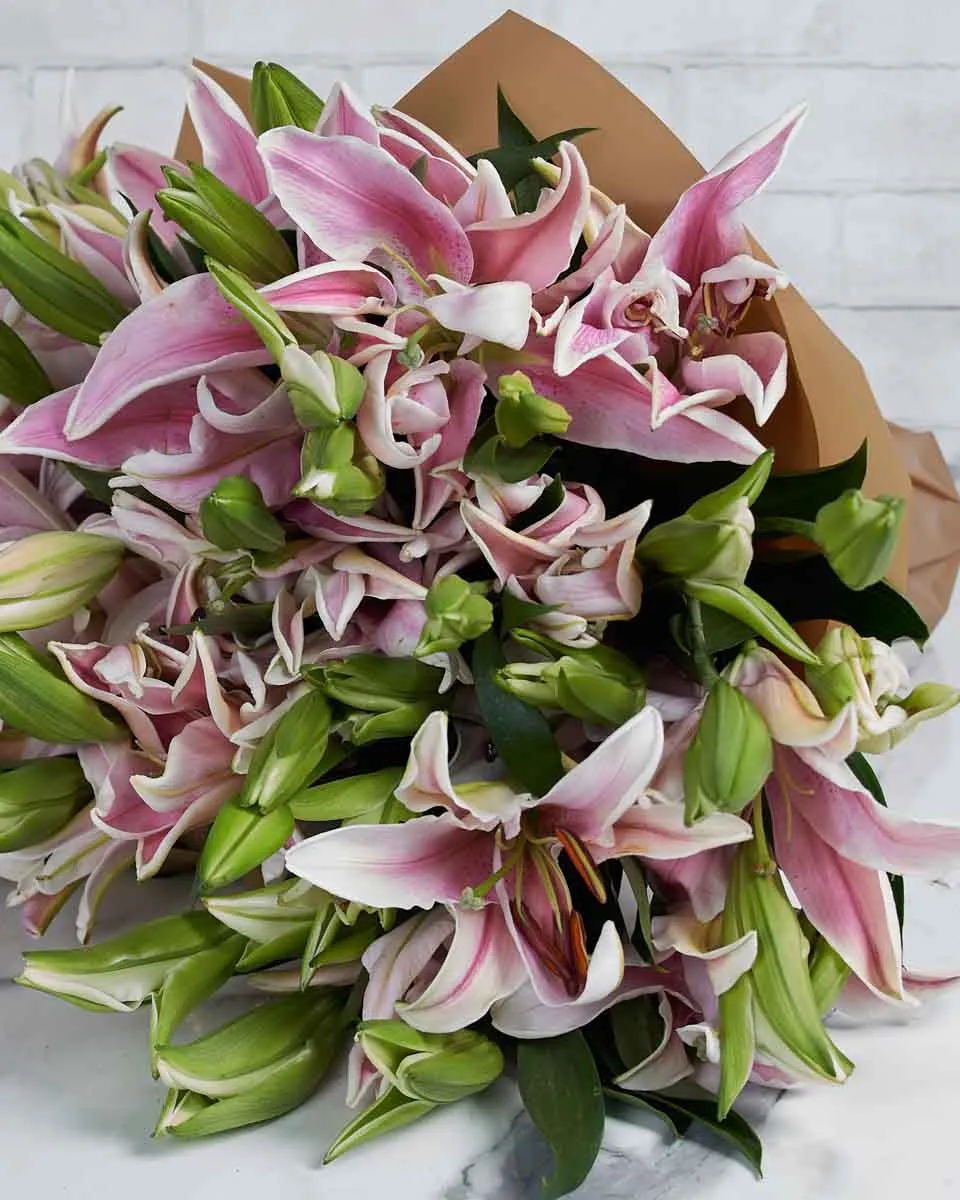 Graceful Lily Lily pink 24  BROWN Details