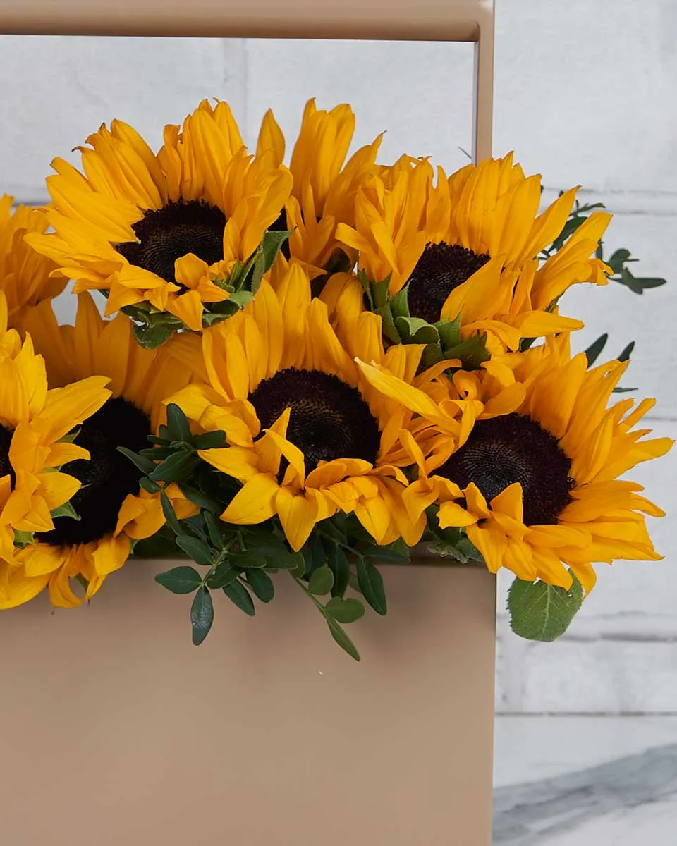 Hey Golden   Toolbox Sunflower with touch of pistacia 18 stems  .5 pistacia Details