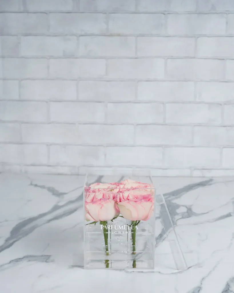 Luxe In Love   acrylic box pink esperance  Edited