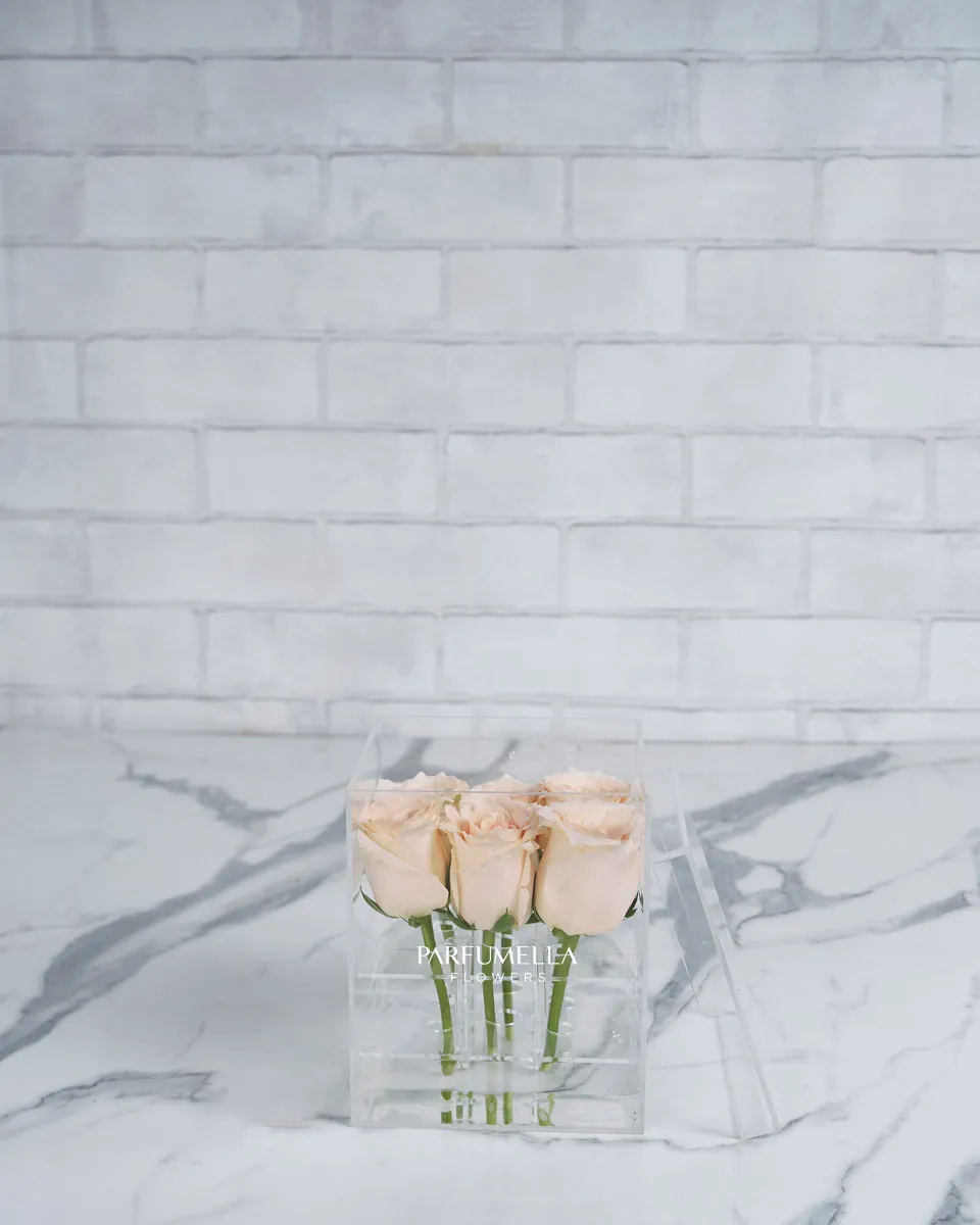 Luxe In Love  acrylic peach rose  Edited