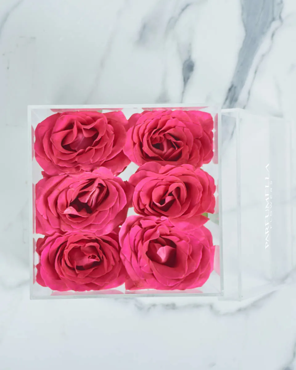 Luxe in Love Fuchsia