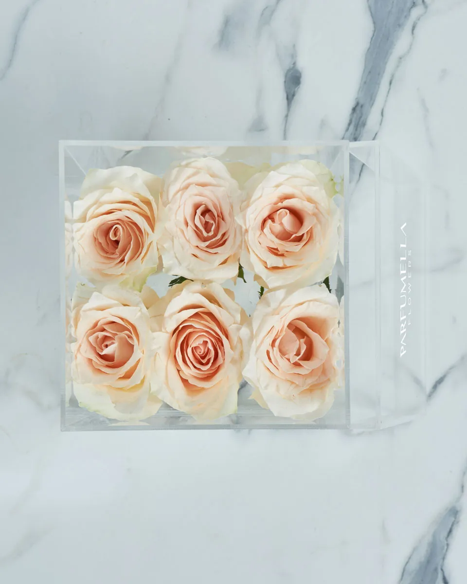 Luxe in Love Peach Rose