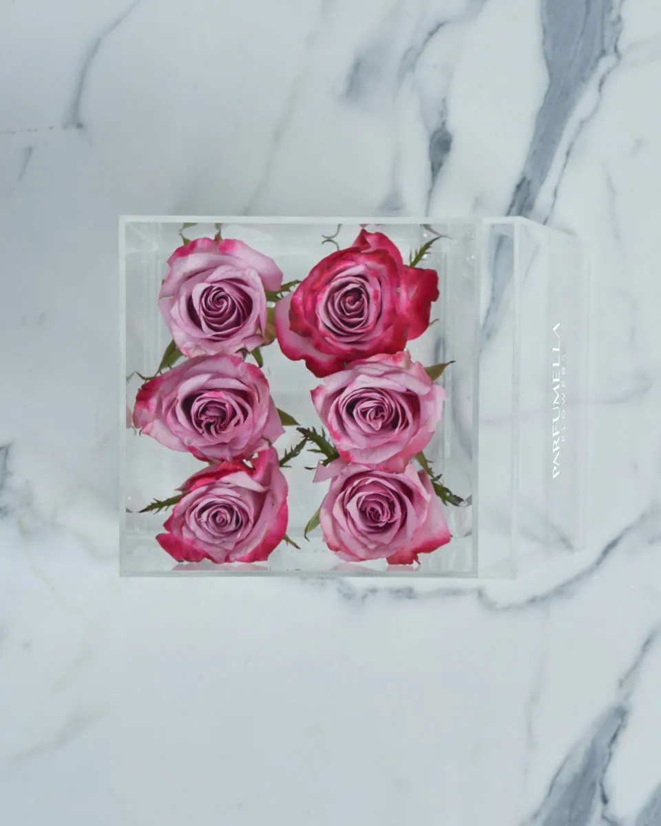 Luxe in Love Purple  Details