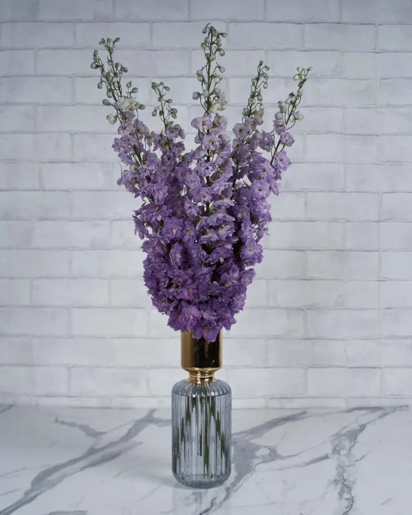 Magical Delphinium Magenta Pink Mojo 1