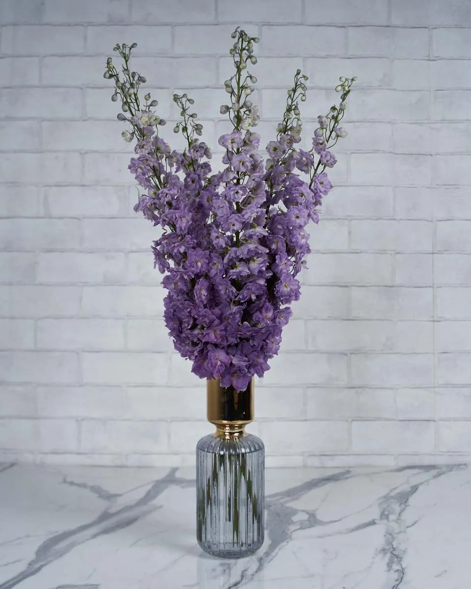 Magical Delphinium Magenta Pink Mojo 1