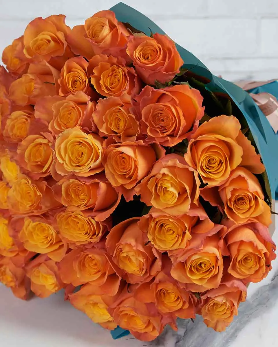Orange Kiss  48 stems  Blue Details