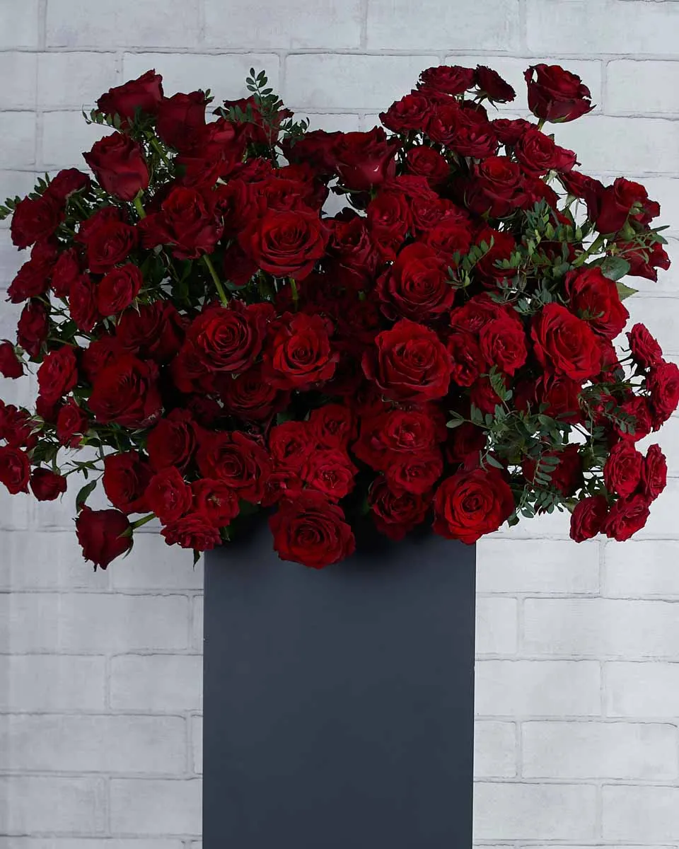 Red Radiance Details