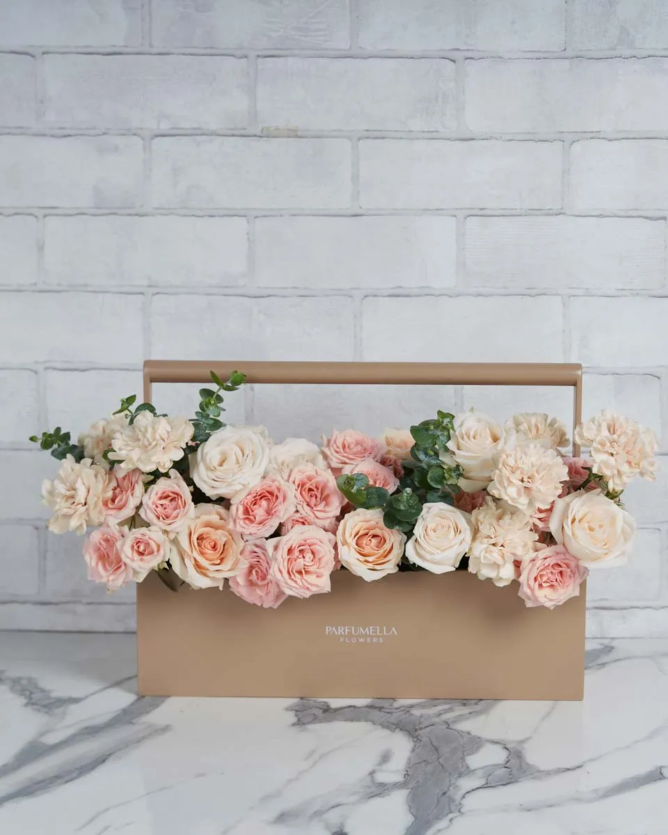 So Pretty   tool box Combination of sweet sarah american white and peach