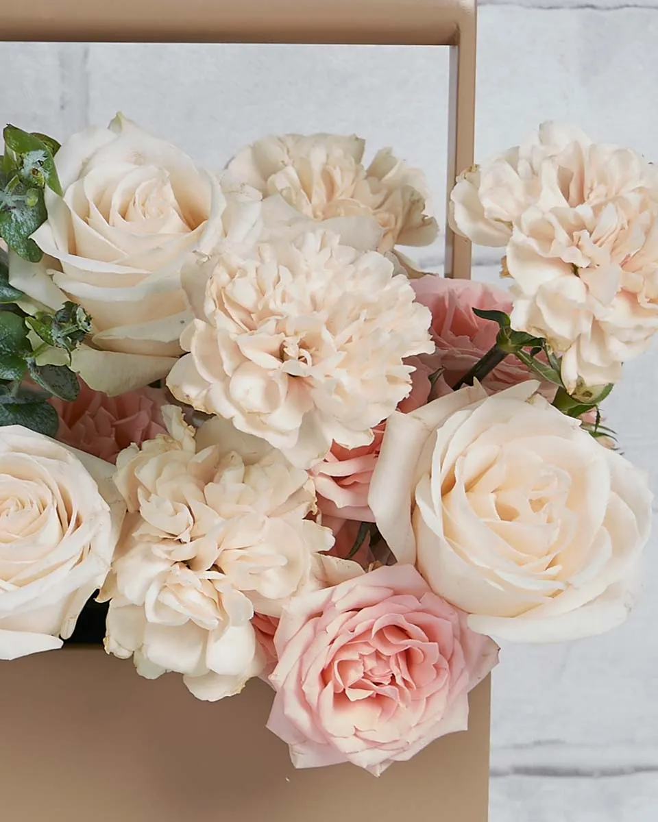 So Pretty   tool box Combination of sweet sarah american white and peach Details