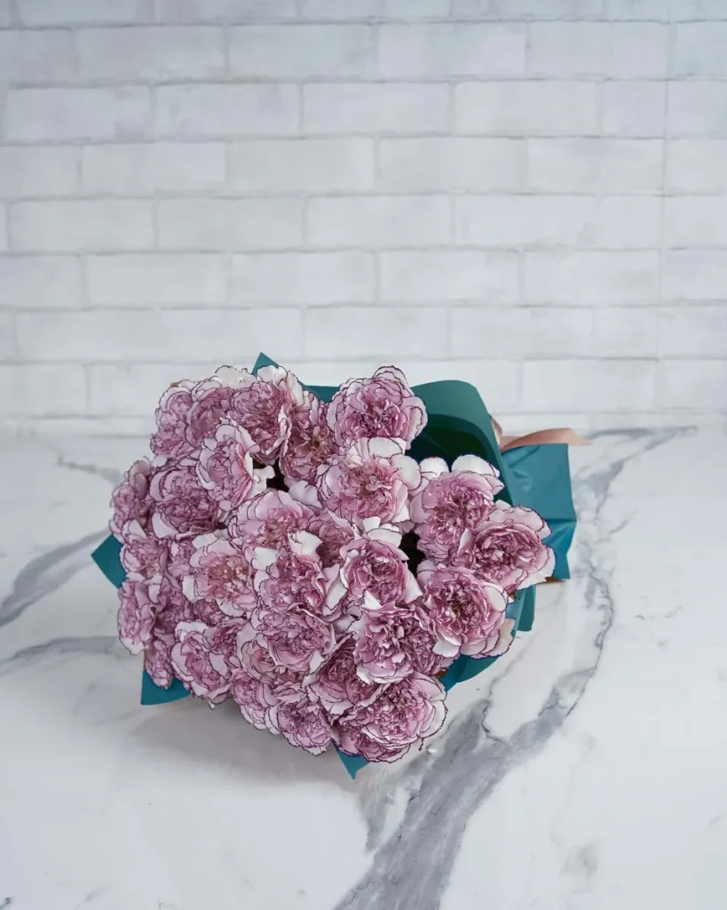 Special Carnation Damascus  48 stems  BLUE