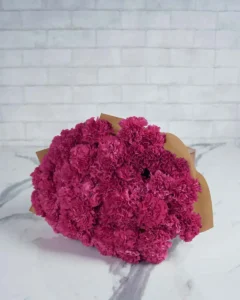 Special Carnation Fuchsia