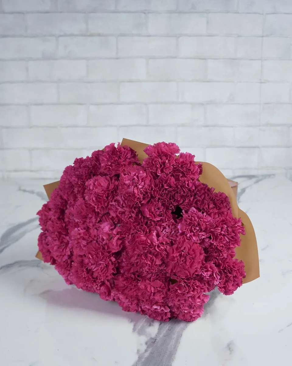 Special Carnation Dark pink 48  BROWN