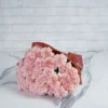 Special Carnation Light Pink 48 stems  PINK