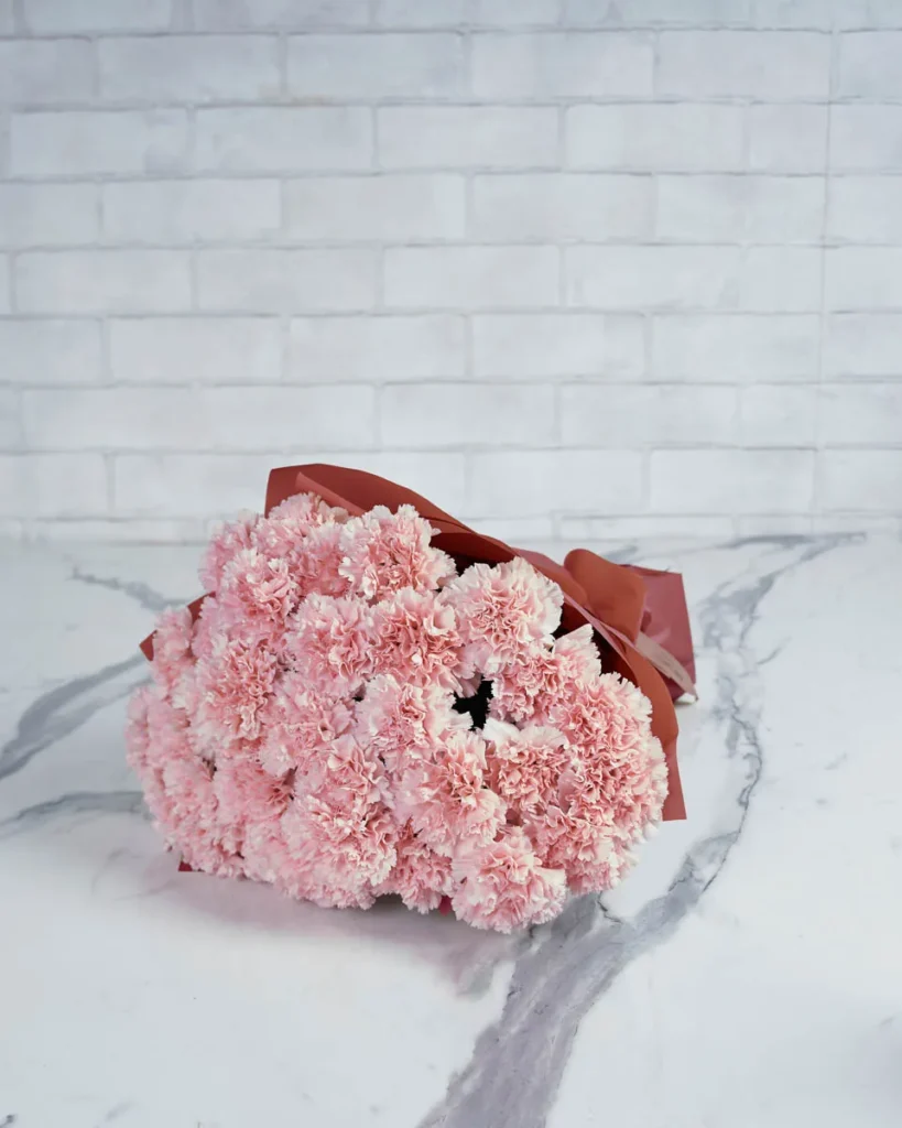 Special Carnation Light Pink 48 stems  PINK