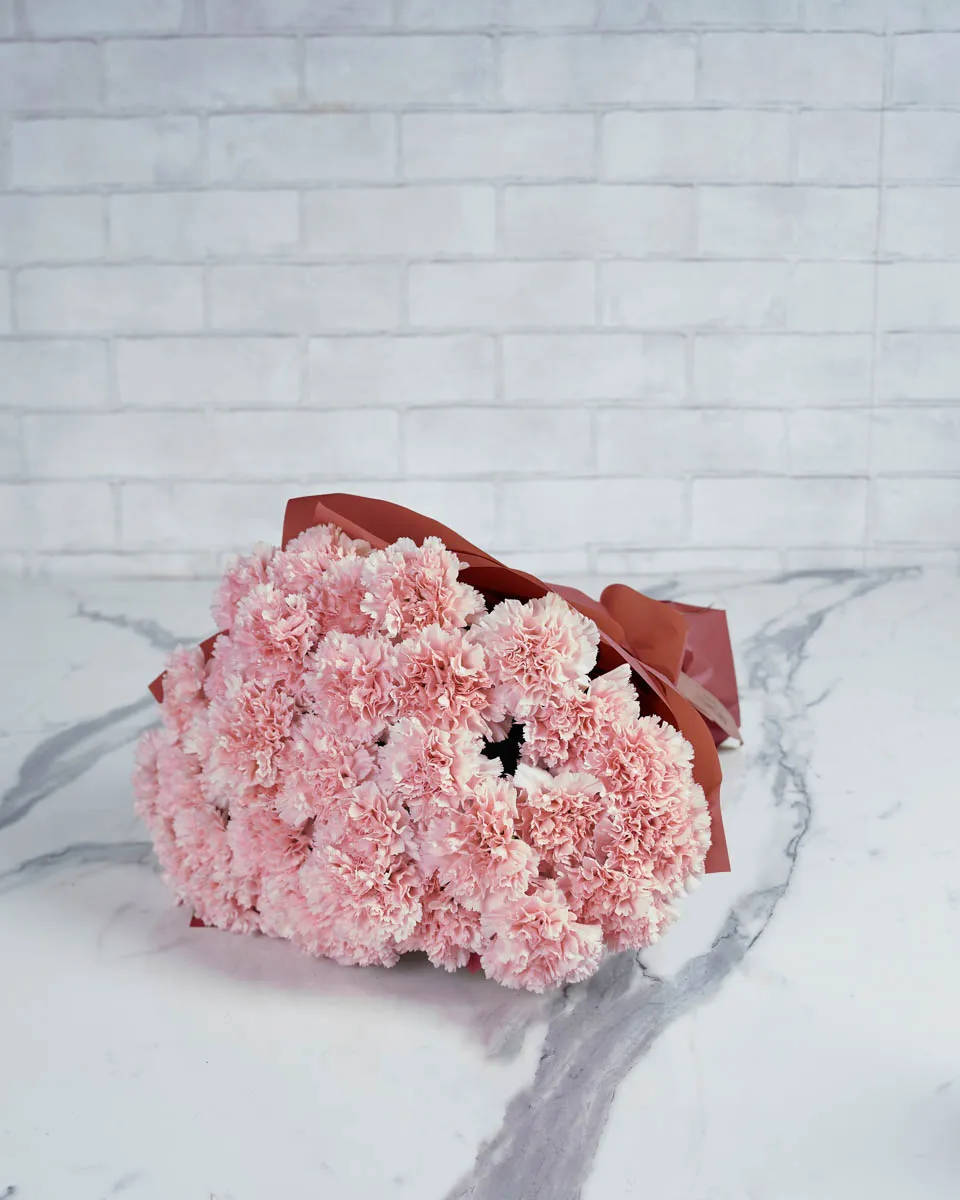 Special Carnation Light Pink 48 stems  PINK