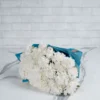 Special Carnation White  48 stems Blue