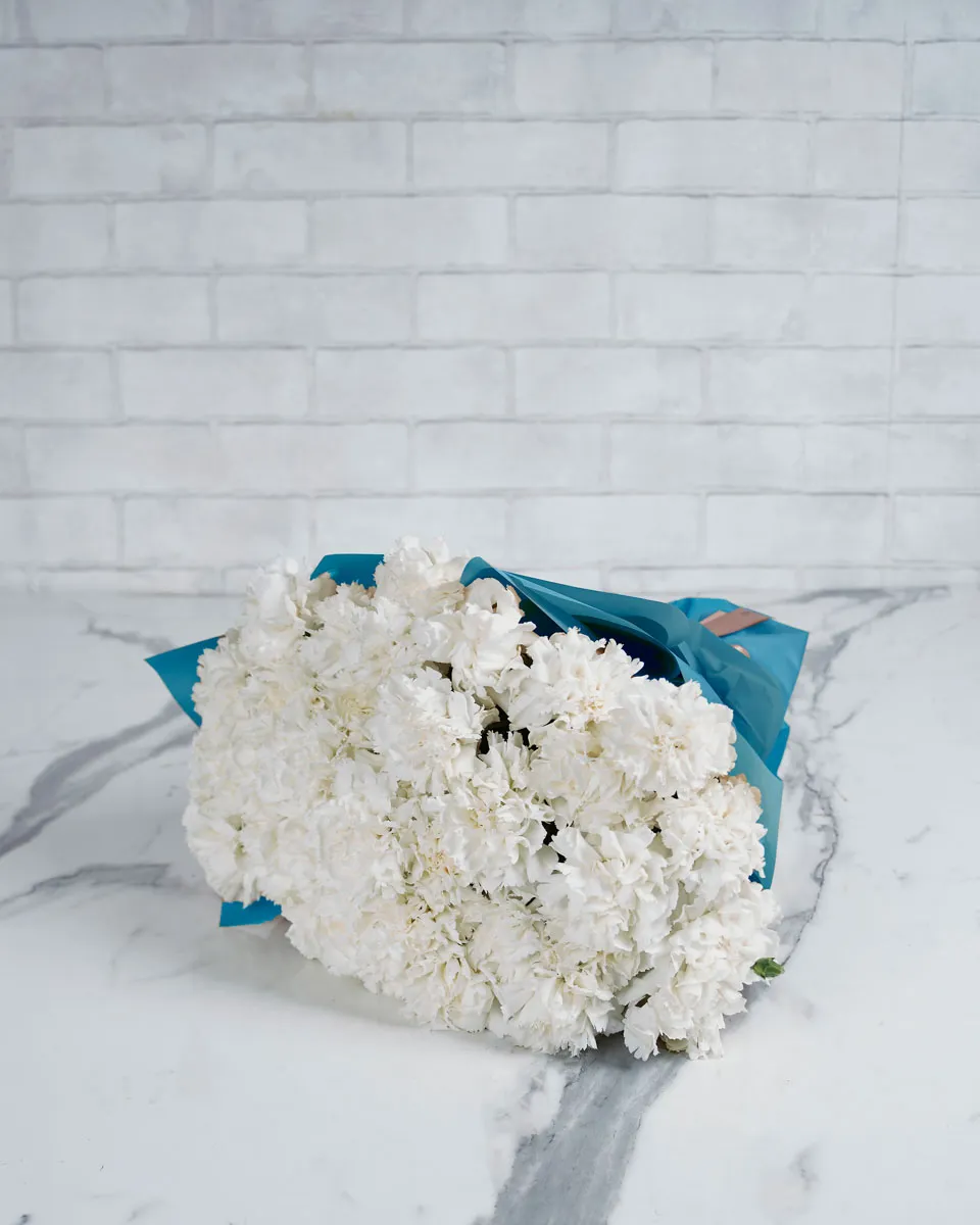 Special Carnation White  48 stems Blue