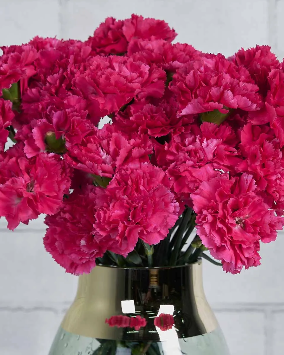 Sweetie Carnation Dark Pink Details Details2