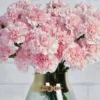 Sweetie Carnation Light Pink Details Details2
