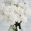 Sweetie Carnation White Details Details2