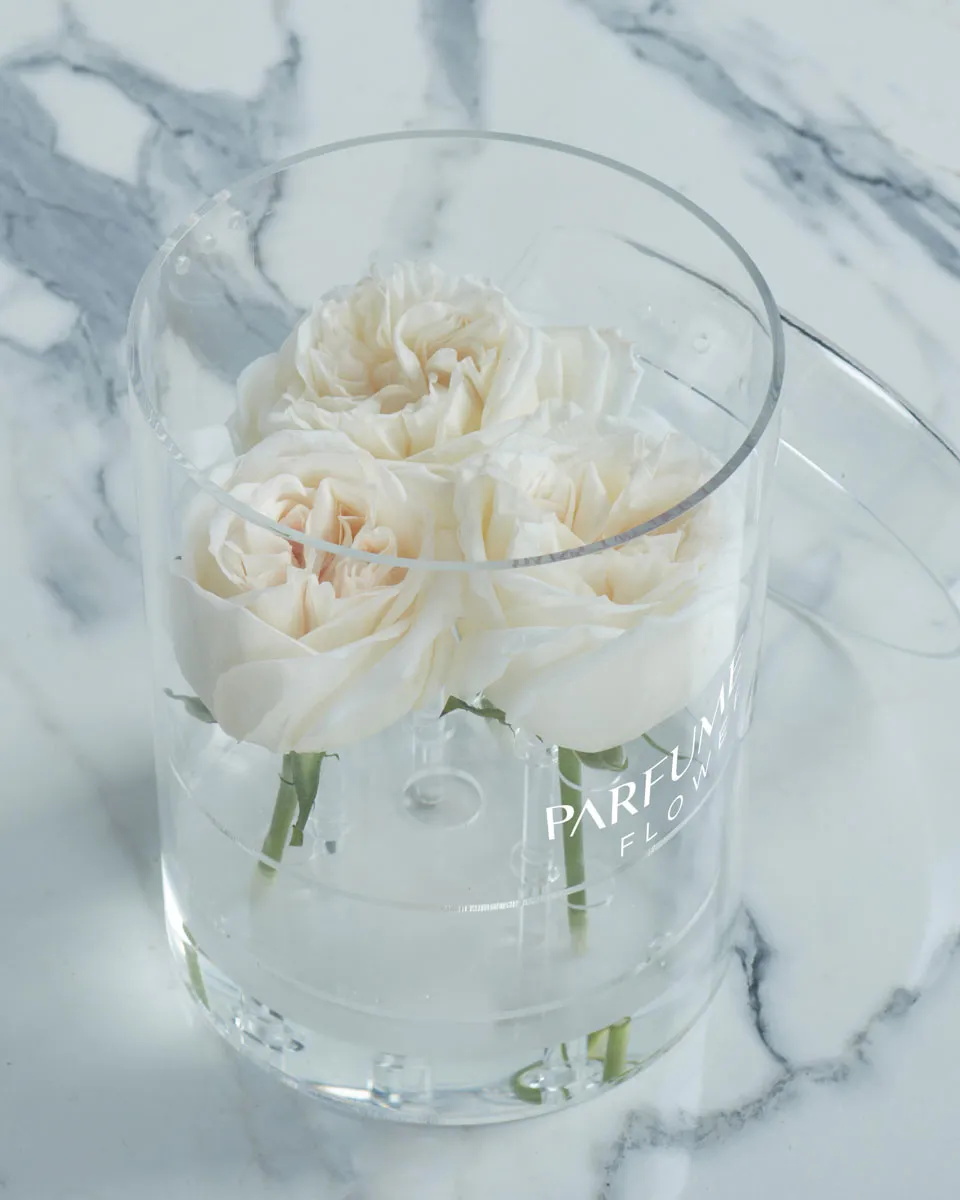 Triple Ohara White  Details