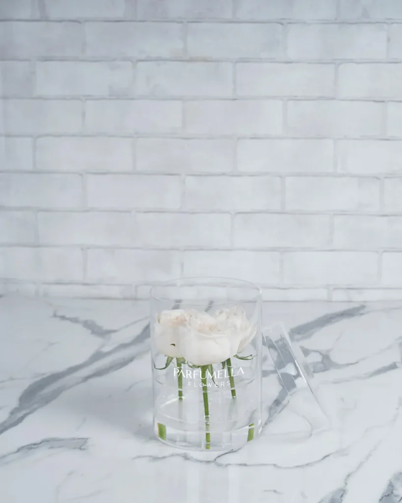 Triple Ohara white  Edited