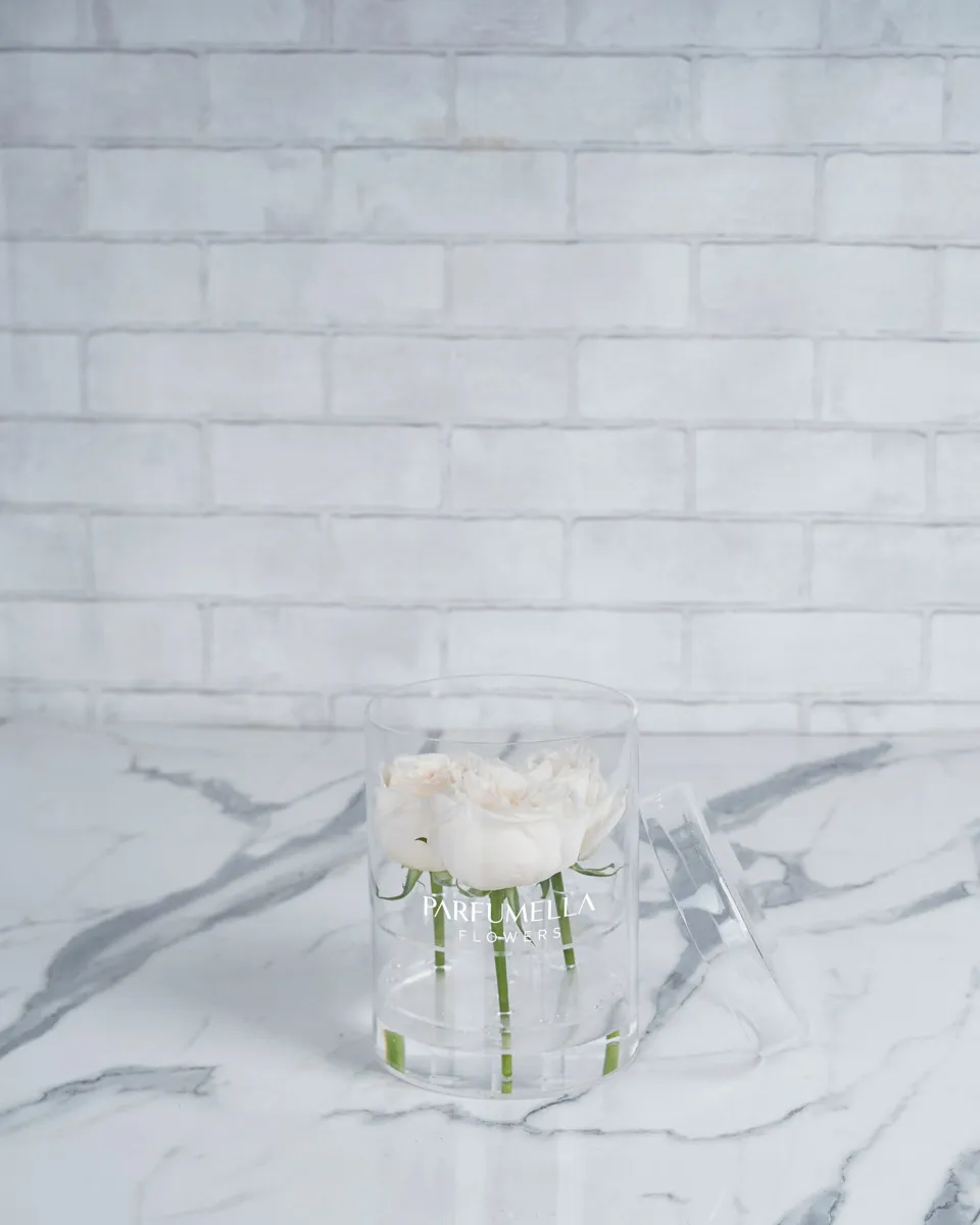 Triple Ohara white  Edited