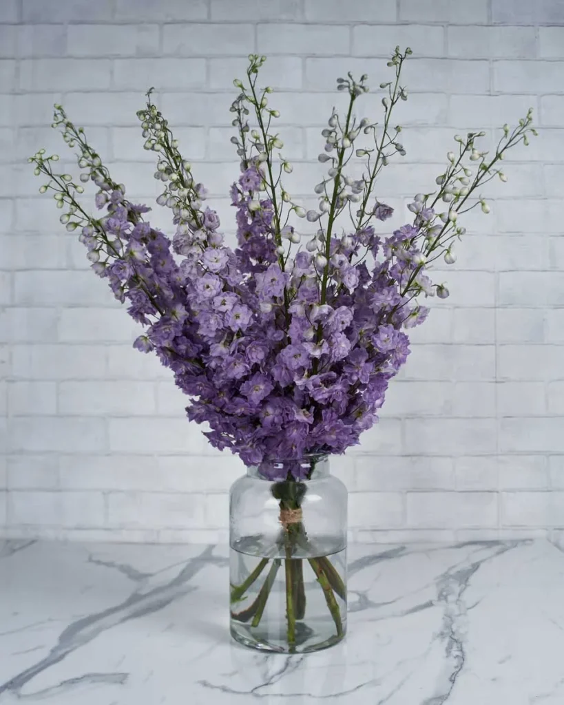 Whimsical Delphiniums Magenta Pink Mojo