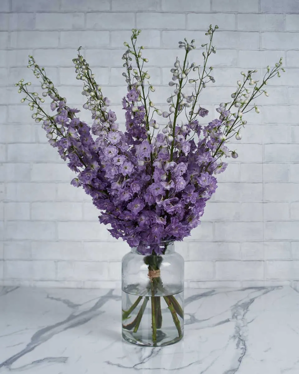 Whimsical Delphiniums Magenta Pink Mojo