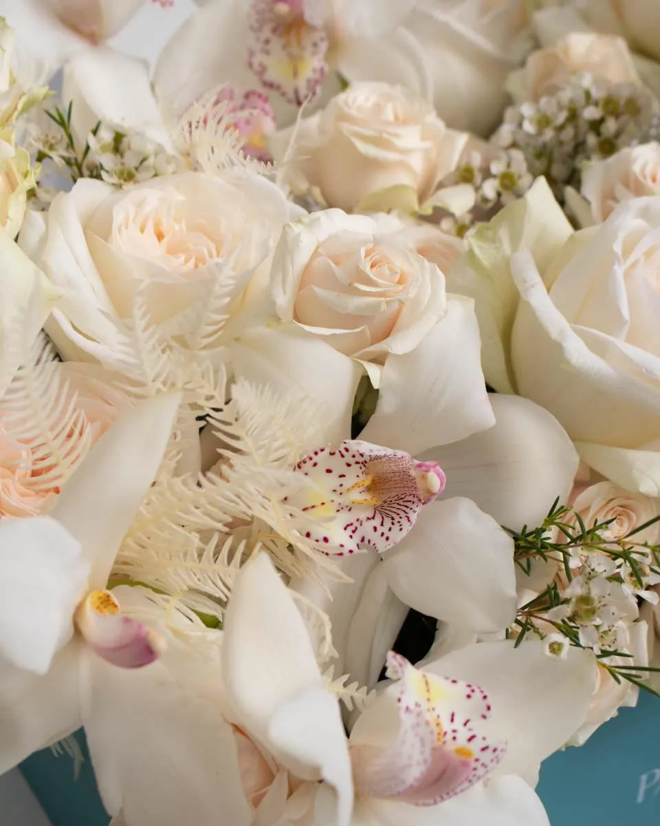 alexandria detailed 1