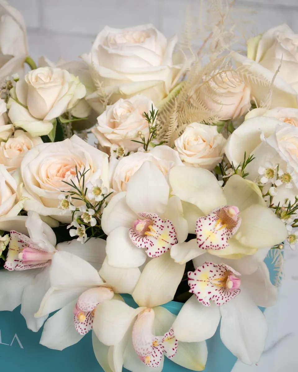 alexandria detailed 2