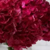 dramatic hydrangeas ruby red Details2