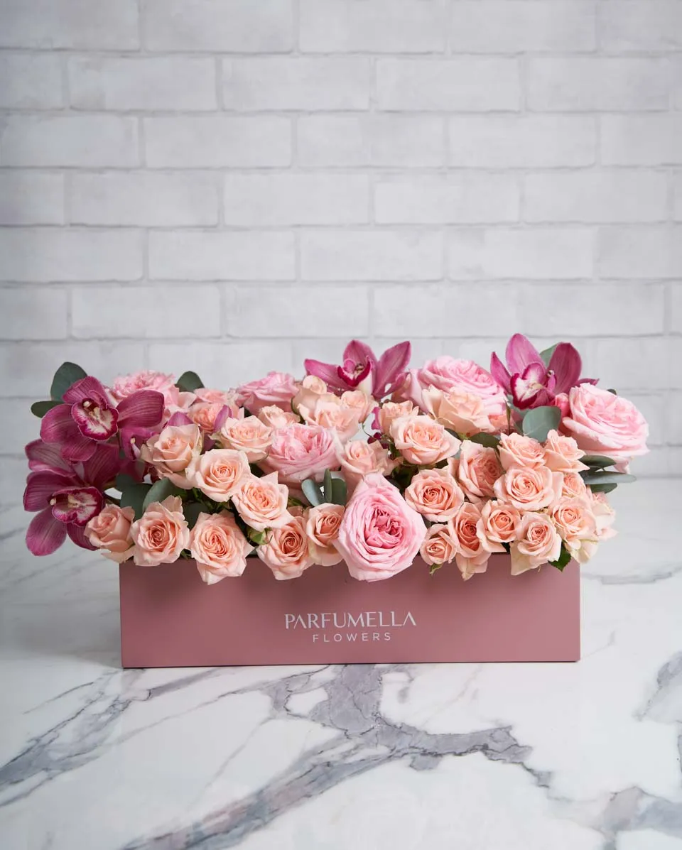 geneva  Edited 23 May 2025