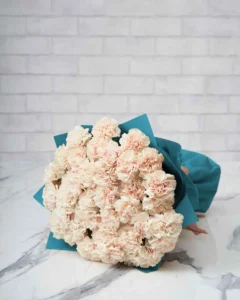 Special Carnation Apple Tea